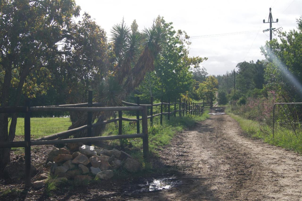 Buffelsdam Country House Kurland Esterno foto