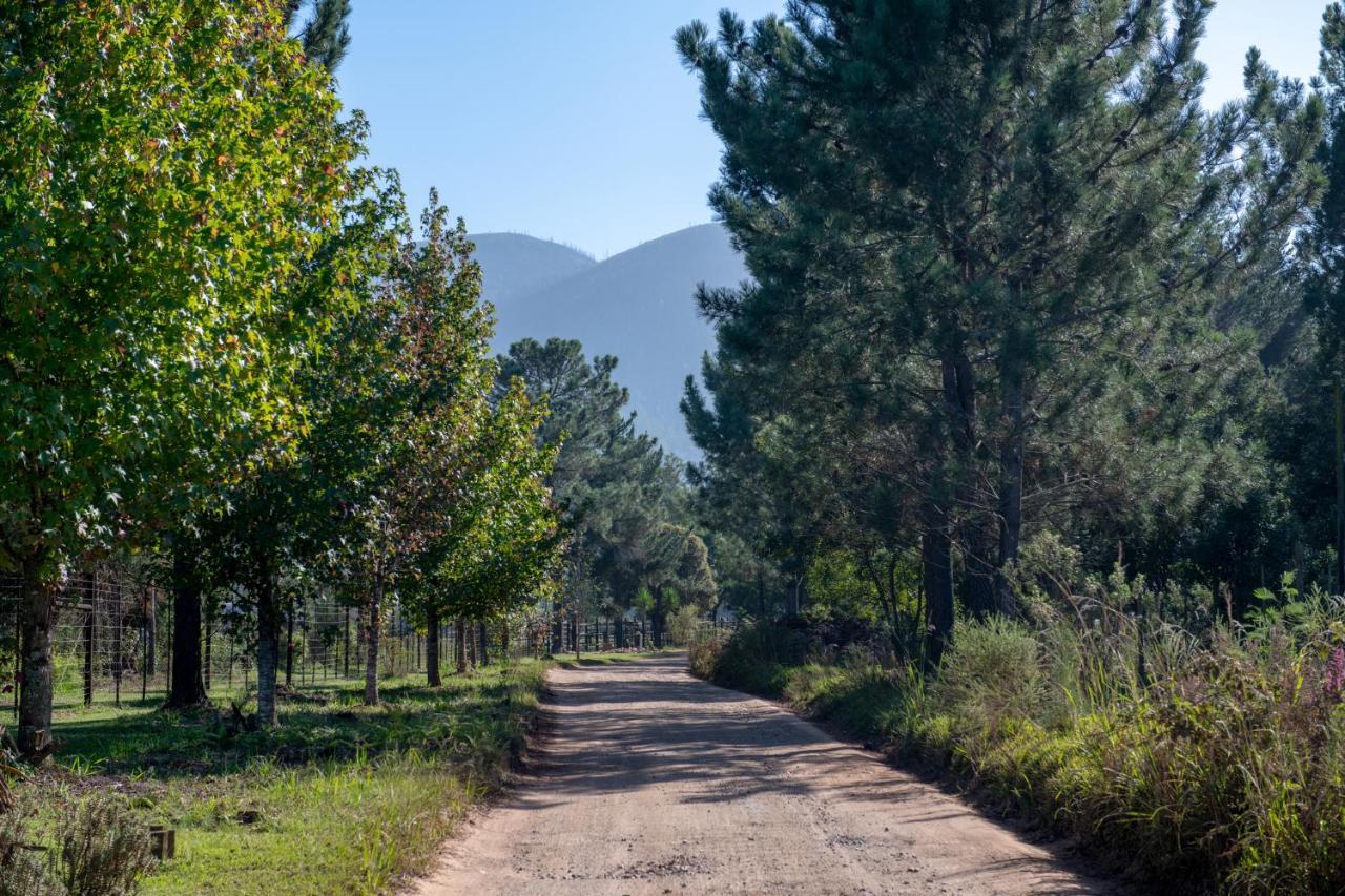 Buffelsdam Country House Kurland Esterno foto